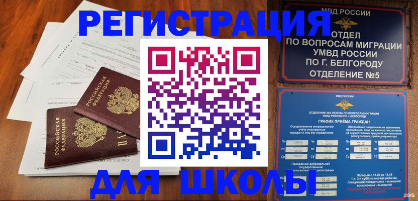 прописка поиск в Дмитрове